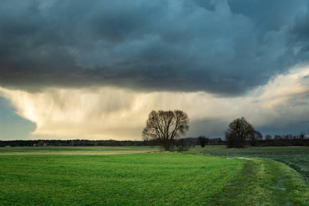 Huge dark cloud with rain above green meadow