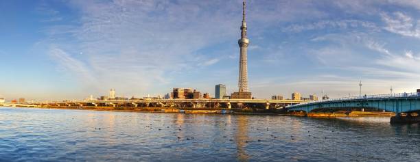 istock Tokyo Japan Cityscape with Skytree Tower on Skyline 1212605153