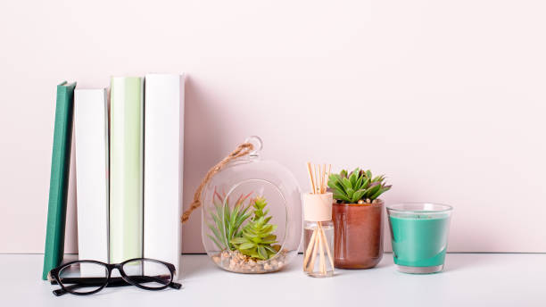 istock Multicolor books stack, house plants succulents and fragrant candle and sticks. Background for World Book Day. Still life with stack of colorful books and home interior decor 1212605206