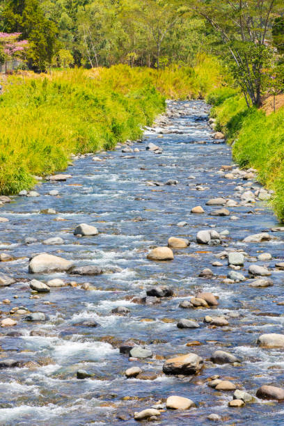 istock Panama Boquete Caldera river in nature 1212606520