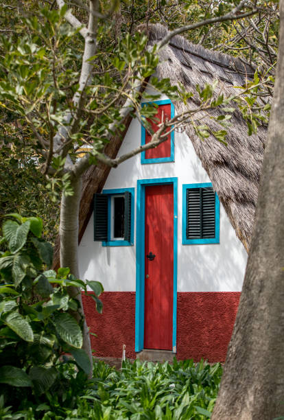 maison rurale traditionnelle dans le jardin botanique d’tropical à funchal sur l’île de madère, portugal - madeira funchal house cottage photos et images de collection