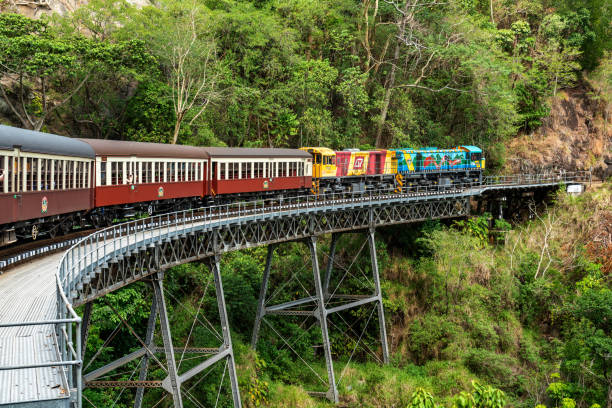 stoney creek bei kuranda scenic railway , cairns, australien - tropical rainforest waterfall rainforest australia stock-fotos und bilder