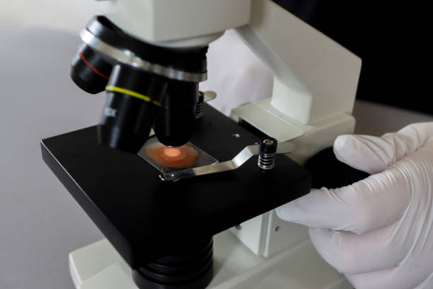 istock close-up of scientist hands with microscope, examining samples and liquid 1212608439