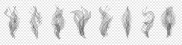 ilustrações de stock, clip art, desenhos animados e ícones de set of realistic transparent smoke or steam isolated in white and gray colors, fog and mist effect. collection of white smoke steam, waves from tea, coffee, hot food, cigarettes - vector - cigarette tobacco symbol three dimensional shape