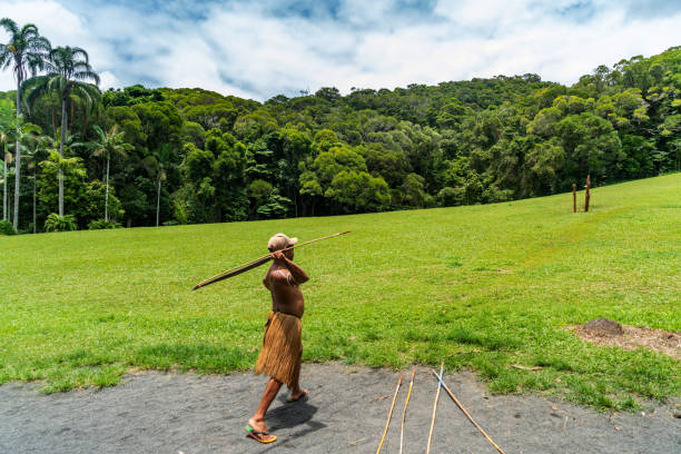 ator aborígene lança uma lança no parque cultural tjapukai em kuranda, queensland, austrália. - aborigine didgeridoo indigenous culture australia - fotografias e filmes do acervo