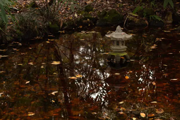 Small pond temple in the middle of the water casting a reflection on the water.