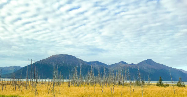 girdwood - girdwood - fotografias e filmes do acervo