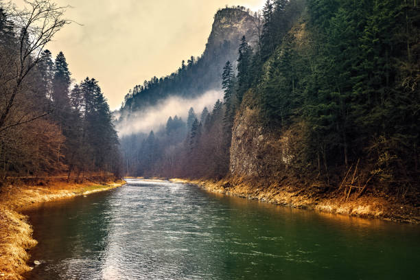 rio dunajec, montanhas, polônia - carpathian mountain range - fotografias e filmes do acervo