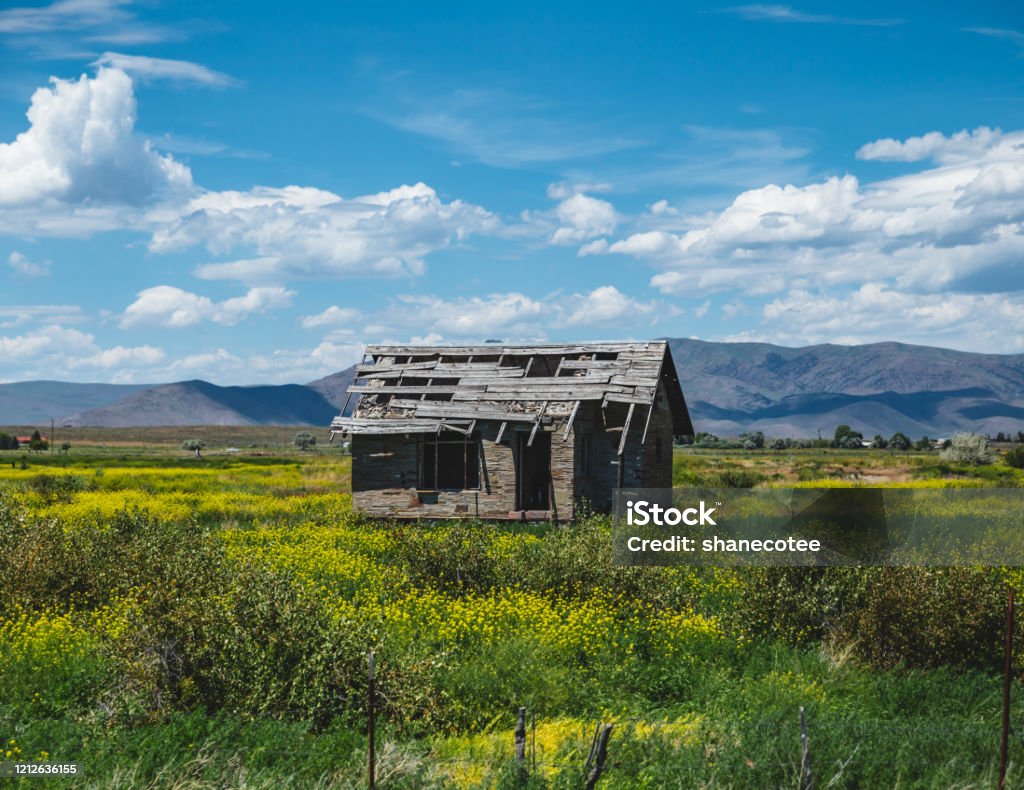Delapidated Building, Old Building, Rural Desolation Run-down building in a beautiful summer landscape. Old home or building in disrepair. House Stock Photo