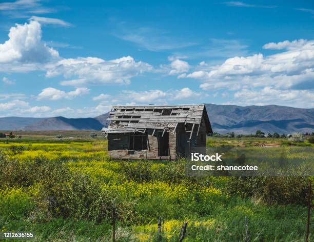 Delapidated Building Old Building Rural Desolation Stock Photo - Download Image Now