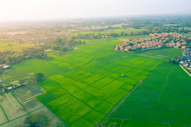 istock rice field and housing estate 1212636314