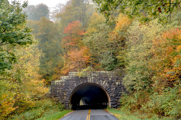 istock autumn season in apalachin mountains on blue ridge parkway 1212637005