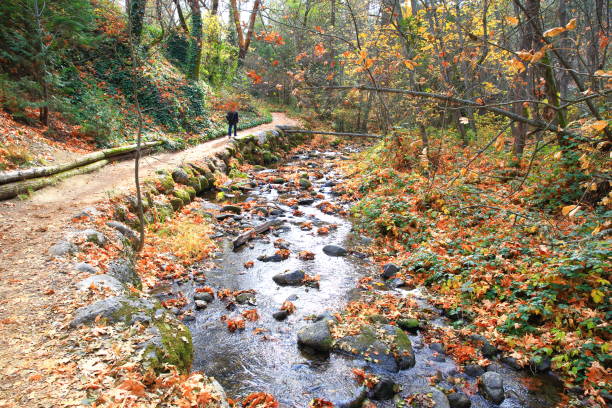 Lithia Park in Autumn, Oregon-USA