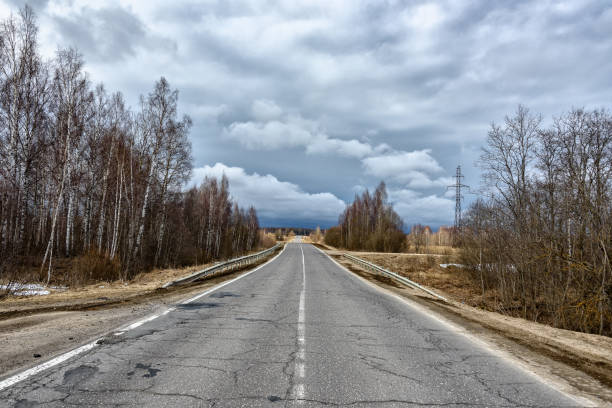 istock Suburban road is going into the distance 1212647351