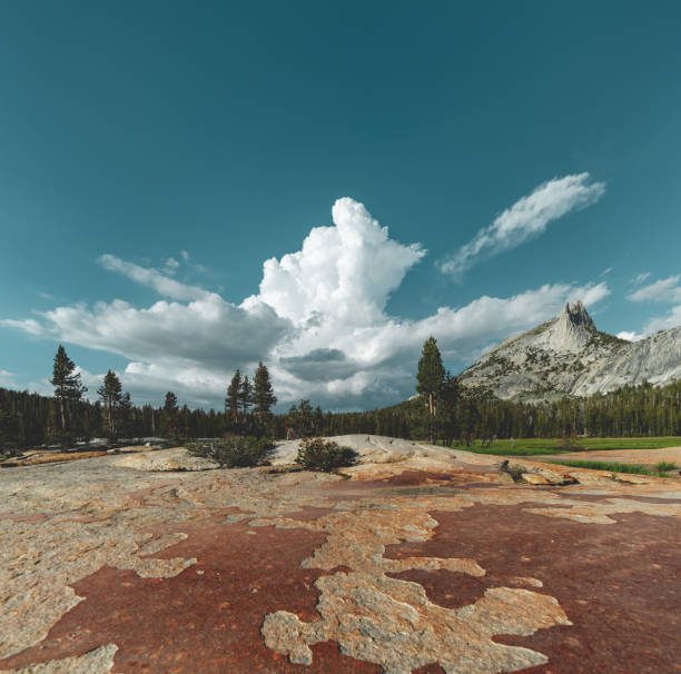 Location: Cathedral Lakes, Yosemite National Park, California, USA\nShot with Nikon D800E