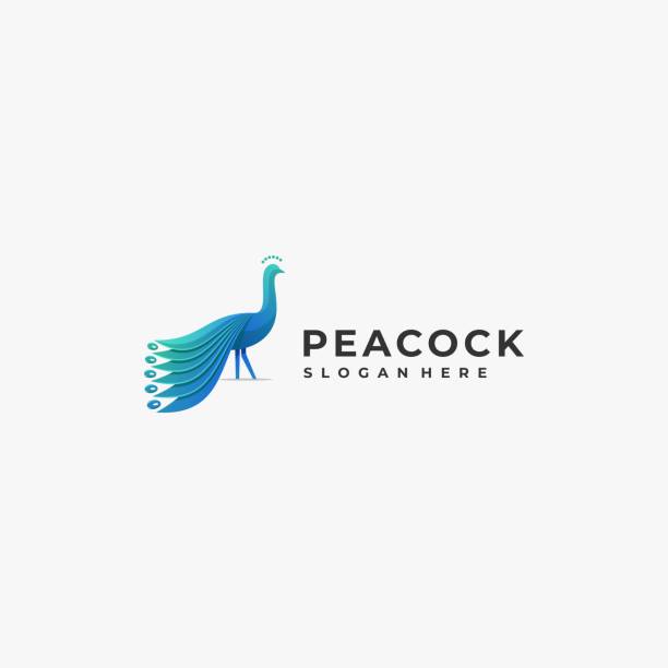 Vector Illustration Peacock Gradient Colorful Style. Vector Illustration Peacock Gradient Colorful Style. topknot stock illustrations