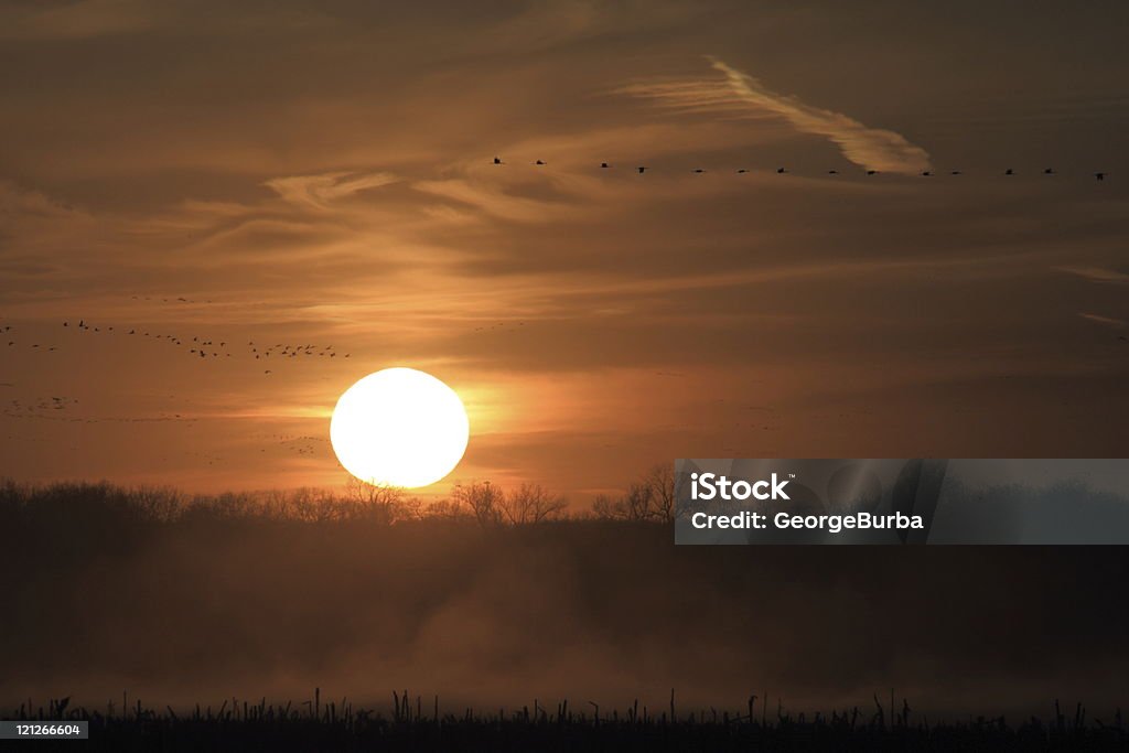 Pôr-do-sol - Foto de stock de Agricultura royalty-free