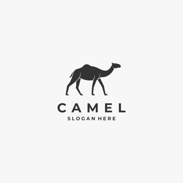 ilustraciones, imágenes clip art, dibujos animados e iconos de stock de ilustración vectorial estilo de silueta a pie de camello. - mamífero