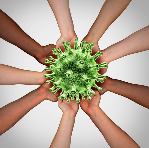 istock Virus Vaccine Research 1212666891