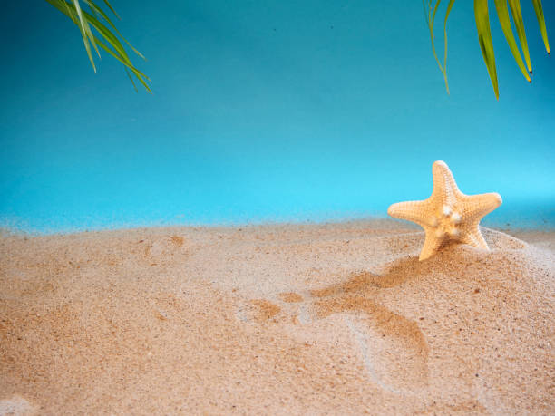 istock Summer holidays concept on beach with shells and starfish. 1212671192
