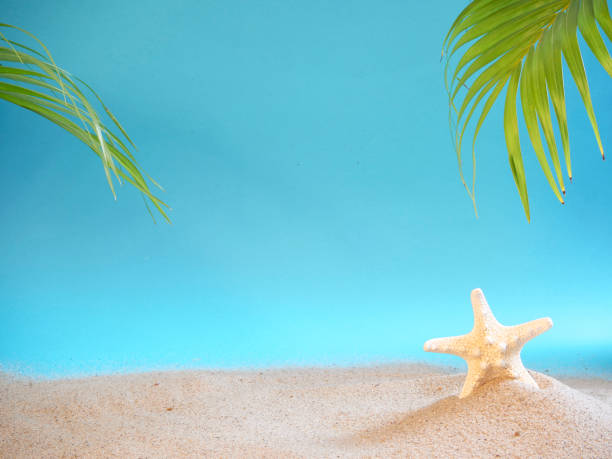 istock Summer holidays concept on beach with shells and starfish. 1212671207