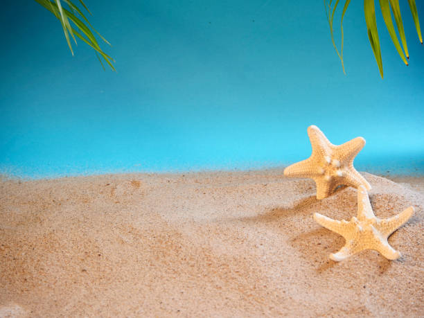 istock Summer holidays concept on beach with shells and starfish. 1212671219