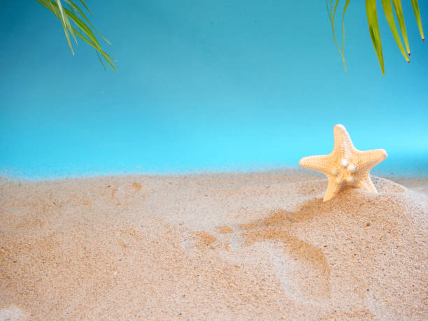 istock Summer holidays concept on beach with shells and starfish. 1212671220