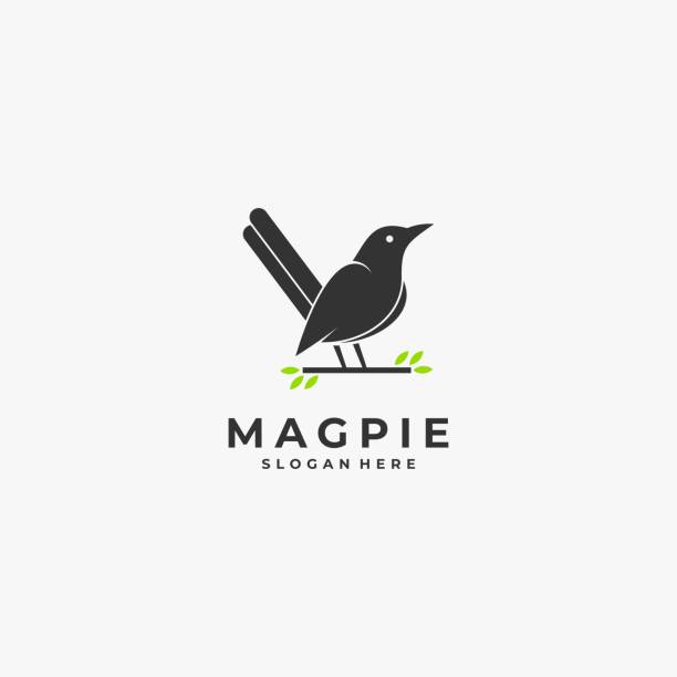 ilustraciones, imágenes clip art, dibujos animados e iconos de stock de ilustración vectorial magpie bird silhouette style. - urraca