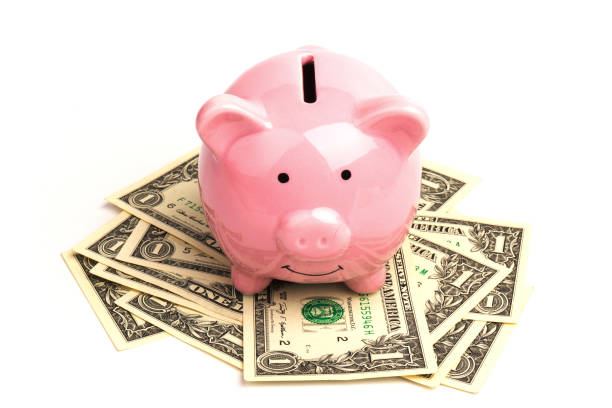 istock Piggy bank with dollar notes on white background, space for text. Finance, saving money 1212675022