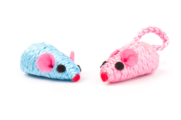 istock blue and pink toy mouse for pet isolated on white background 1212675826
