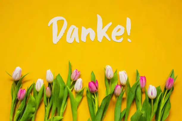 German Text Danke Means Thank You. White And Pink Tulip Spring Flowers. Yellow Wooden Background