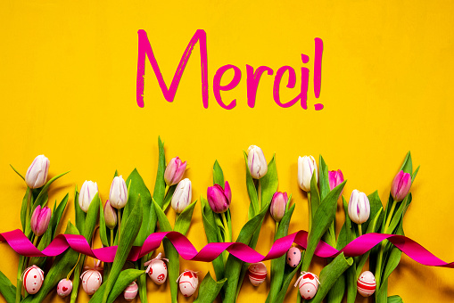 French Text Merci Means Thank You. White And Pink Tulip Spring Flowers With Ribbon And Easter Egg Decoration. Yellow Wooden Background