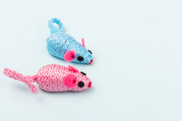 istock blue and pink toy mouse for pet isolated on blue background 1212676384