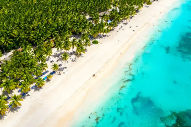 Aerial drone view of beautiful caribbean tropical island beach with palms. Saona, Dominican Republic. Vacation background