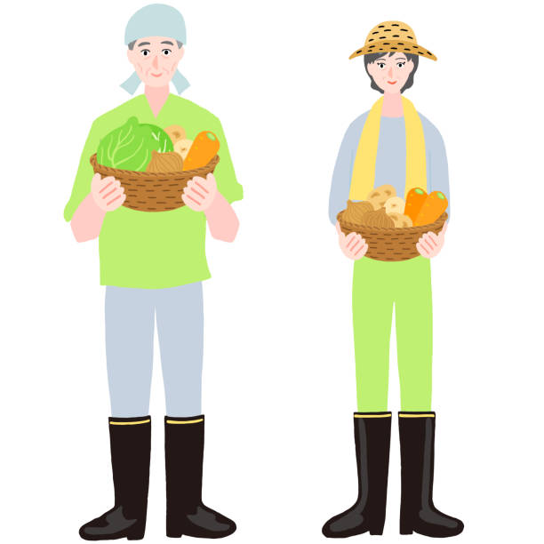 野菜バスケットを使って農家をする高齢者 - 農業従事者 イラスト点のイラスト素材／クリップアート素材／マンガ素材／アイコン素材