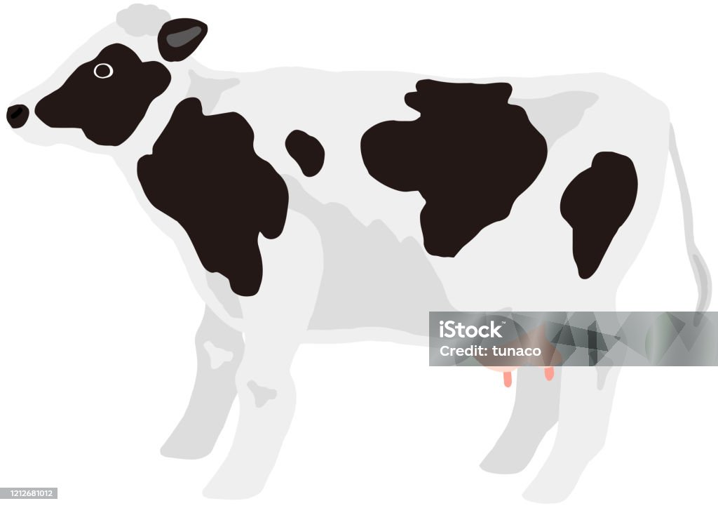 Milch Cow For The Domestic Animal Stock Illustration - Download Image Now -  Animal, Cattle, Dairy Cattle - iStock