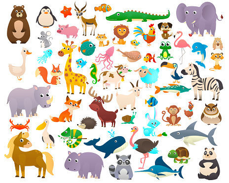 Big Collection Cartoon Animals Sea Animals Wild Animals Woodland Animals  Stock Illustration - Download Image Now - iStock