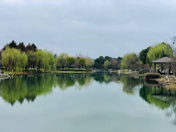 istock The Spring in Suzhou China 1212683899