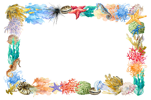 Rectangular frame of underwater reef elements, coral, sponge, urchin, anemones, starfish, seaweed, shell. Copy space for design. Hand drawn watercolor illustration.