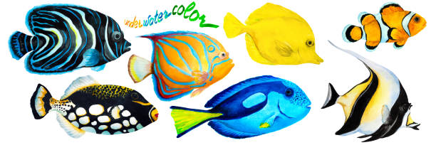 set von tropischen riff fisch clownfisch, moorish idol, kaiser engelfisch, blau-ringed engelfisch, blau tang, gelbtang und clown triggerfish. hand gezeichnet aquarell. - tropical fish clown fish isolated animal stock-fotos und bilder