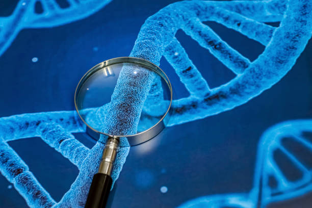 istock magnifying glass and genetic diseases research 1212684818