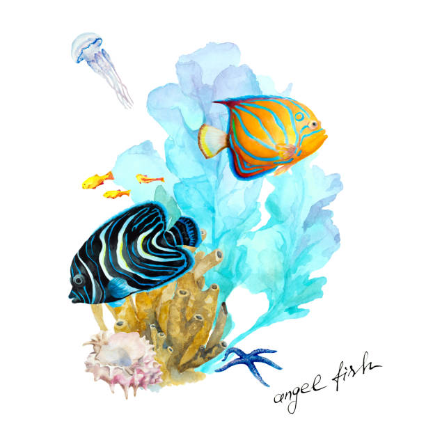 Fish Emperor angelfish (Pomacanthus imperator and blue-ringed angelfish (Pomacanthus Annularis), underwater landscape, hand drawn watercolor.