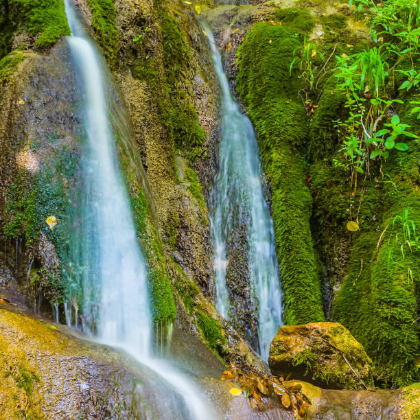 istock closeup small mountain brook rushing over a stones 1212686695