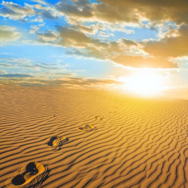 istock sand dune, human track and evening sun 1212686747