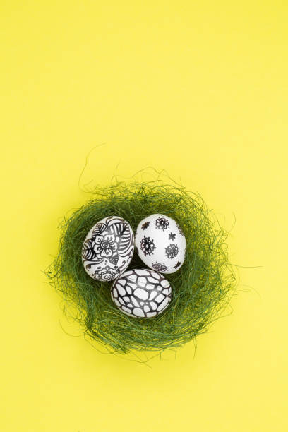 istock Three easter eggs are painted in black and white lie in a green nest 1212688433