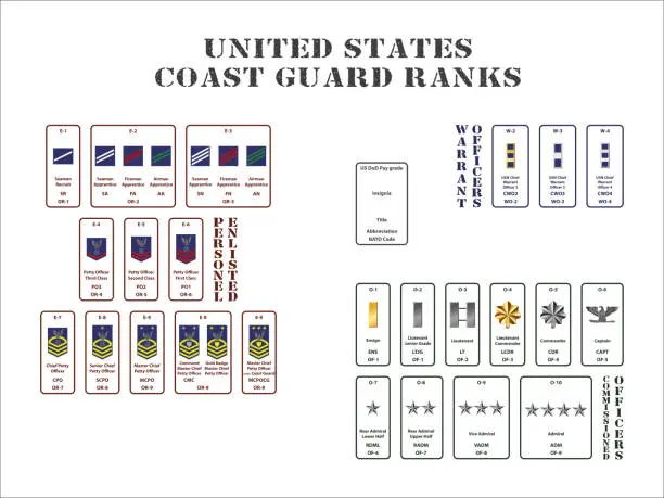 Vector illustration of united states coast guard ranks