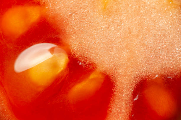istock Red fresh tomato background, super macro. Texture of ripe organic vegetable 1212690367