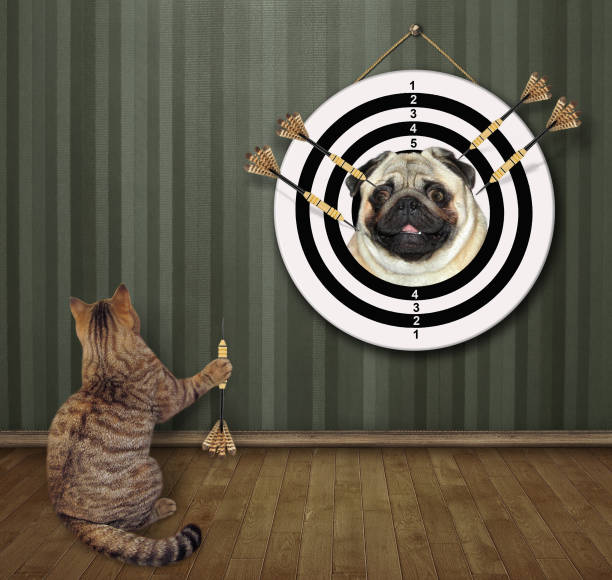 gatto che gioca a dardo in casa 3 - dartboard photography competition sports and fitness foto e immagini stock