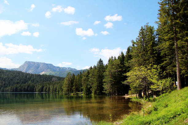istock Mountain lake among green forest 1212696590