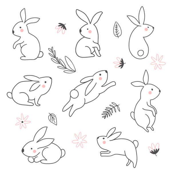 Cartoon Of Hare Running Illustrations, Royalty-Free Vector Graphics & Clip  Art - iStock